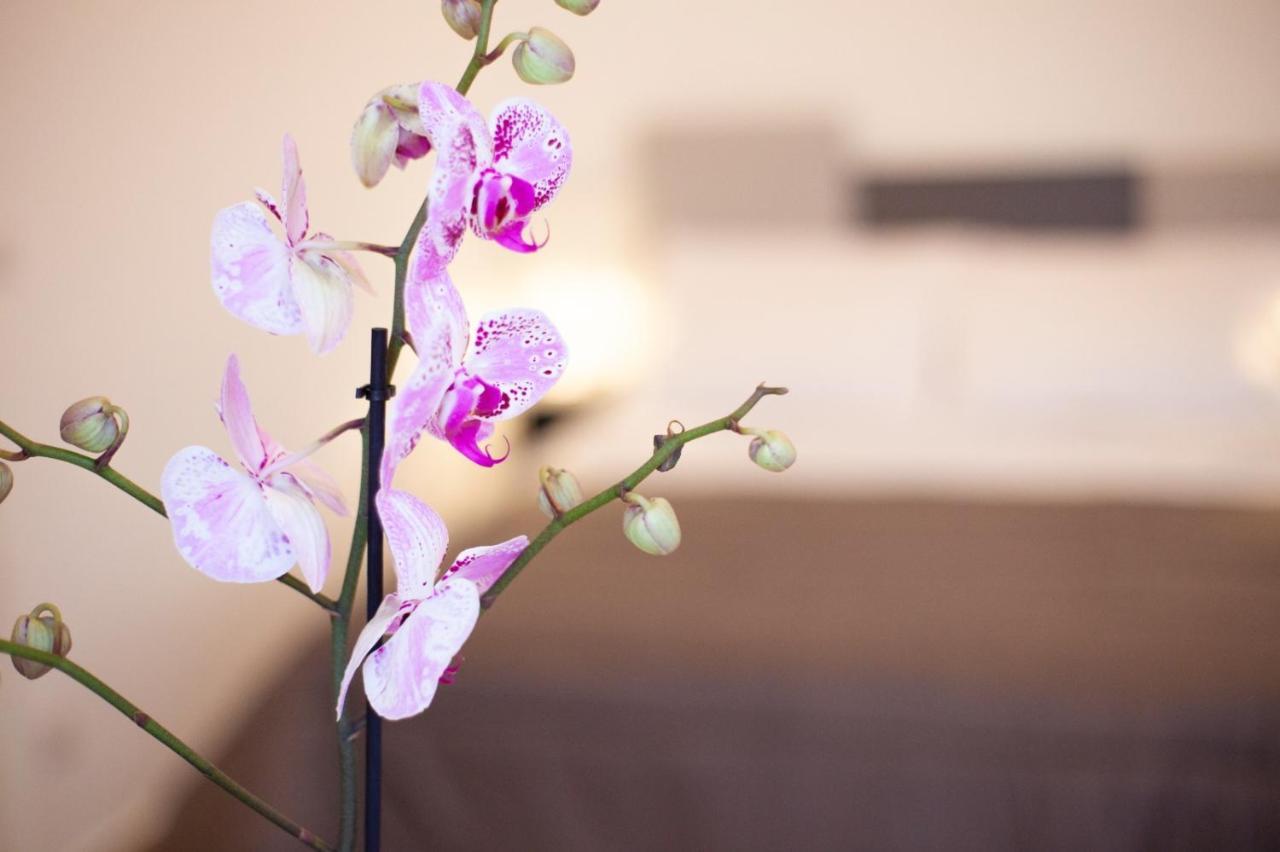 Casapaola B&B Rooms อาชิเรอาเล ภายนอก รูปภาพ